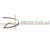 Design Plus LLC Logotype