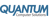 Quantum Computer Solutions Logotype