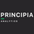 Principia Analytics Logotype