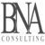 BNA Consulting Services Ltd Logotype