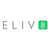 ELIV8 Business Strategies Logotype