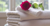 BD Terry Towel Logotype