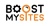 Boostmysites Logotype