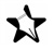 Stellar Literary Press and Media Logotype