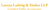 Larson Ludwig & Stokes LLP Logotype