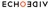 Echo Video Logotype