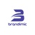 Brandimic Logotype