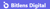 Bitlens Digital Logotype