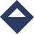 Reize LLC Logotype