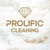 Prolific cleaning Logotype