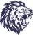 Leo Coders Private Limited Logotype