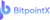 BitpointX Logotype