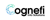 Cognefi Info Solutions Pvt Ltd . Logotype