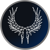 Valkyrie Intelligence Logotype