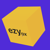 EZYpx Logotype