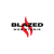 Blazed Web Studio Logotype