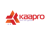Kaapro Management Solutions Pvt. Ltd. Logotype