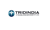 Tridindia Logotype