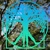 Tropical Environmental Consultants. LLC Logotype