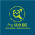 Pro SEO BD Logotype