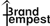 Brand Tempest Logotype