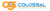 Colossal Global Solutions Logotype
