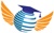 Novel Patent Service Pvt Ltd Logotype