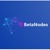 BetaNodes Inc Logotype