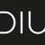 DIU MarTech Solutions GmbH Logotype