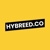 Hybreed.co Logotype