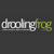 Droolingfrog Web Design Logotype
