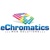 eChromatics Web Solutions Logotype