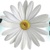 Website and Social Media Solutions, LLC Logotype