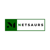 Netsaurs Logotype