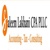 Saleem Lakhani CPA Logotype