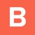 Bronte Logotype