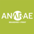 Anarae Design Group Logotype