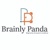 Brainly Panda Logotype