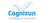Cognisun Infotech Pvt. Ltd. Logotype