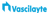 Vascilayte Private Limited Logotype
