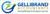 Gellibrand Accountants Logotype