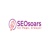 SEO Soars Logotype