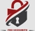 Pro Locksmith Logotype