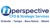 Nperspective CFO & Strategic Services Logotype