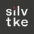 Silvertake Video Logotype