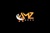 AMZ Aces Logotype