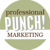Professional PUNCH Logotype