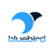 BlueBird Digital Logotype