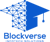 Blockverse Infotech Solutions Logotype