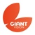 GIANT VISION Logotype